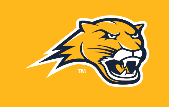 cougar head, full color on orange variant, cell 57