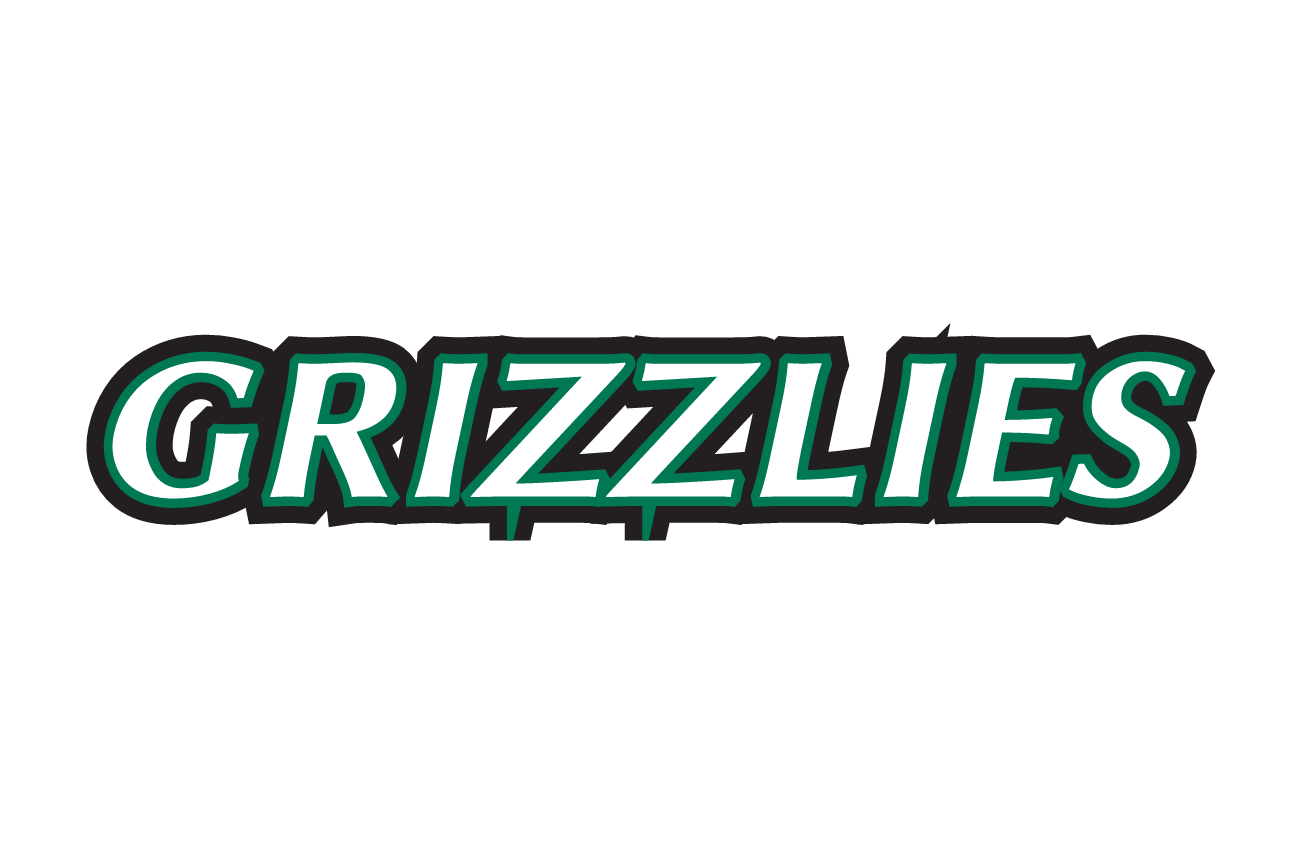 Grizzlies wordmark, full color variant, cell 7