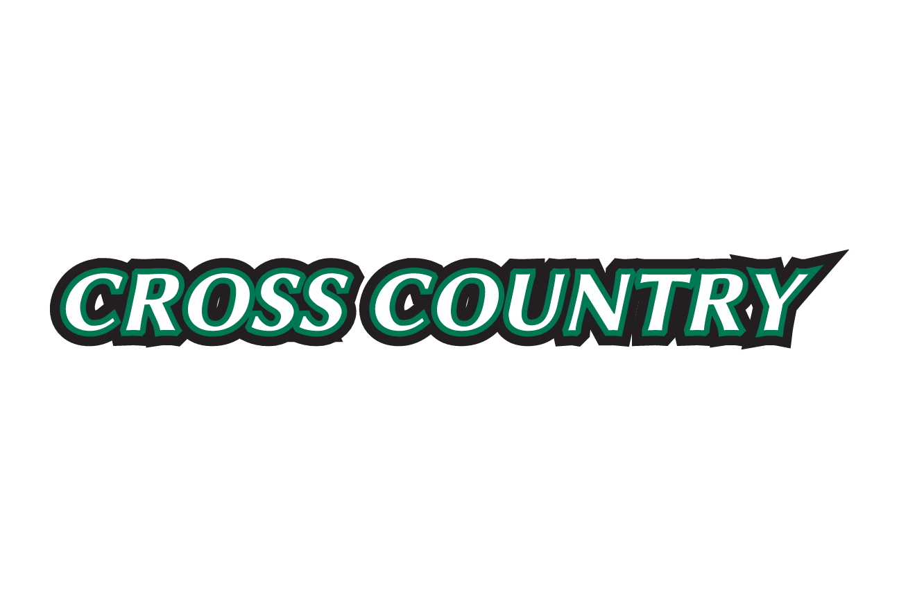 CROSS COUNTRY wordmark, green with white and black outline variant, cell 12