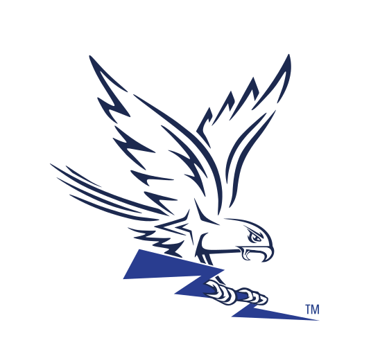 flying falcon, blue variant, cell 11