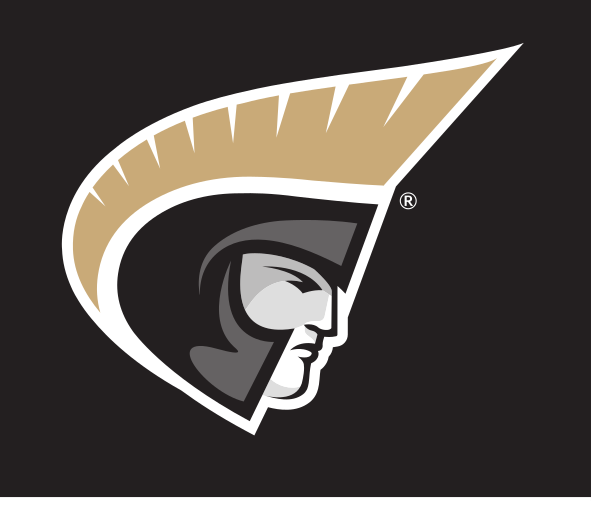 Trojan Head Icon, Full Color Pantone Coated variant