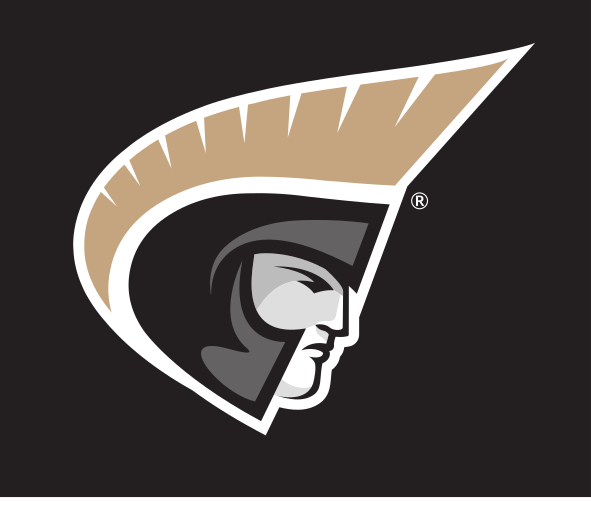 Trojan Head Icon, Full Color Pantone Uncoated variant