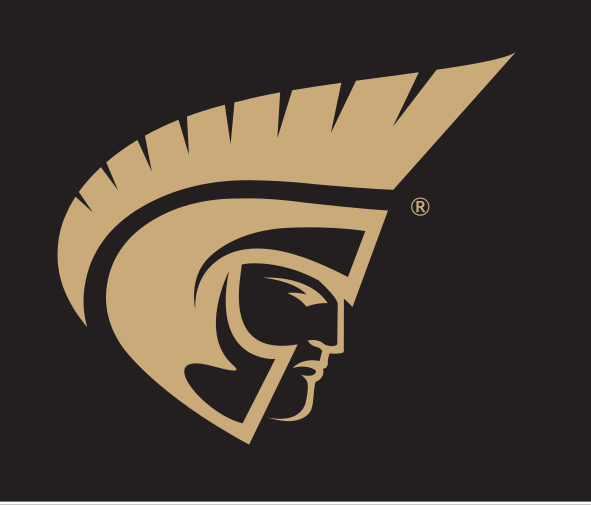 Trojan Head Icon, One Color Pantone Gold C variant