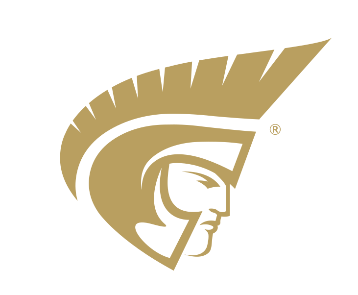 Trojan head icon, one color, gold, CMYK variant