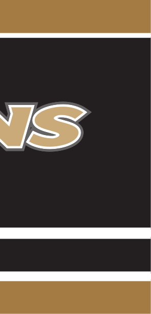 Trojans wordmark, Pantone gold coated variant