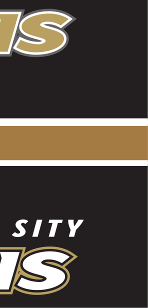 Trojans wordmark, Pantone gold uncoated variant