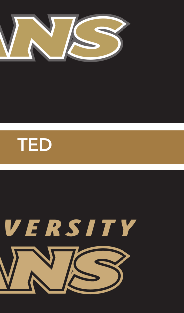 Anderson University Trojans wordmark, Pantone gold coated variant