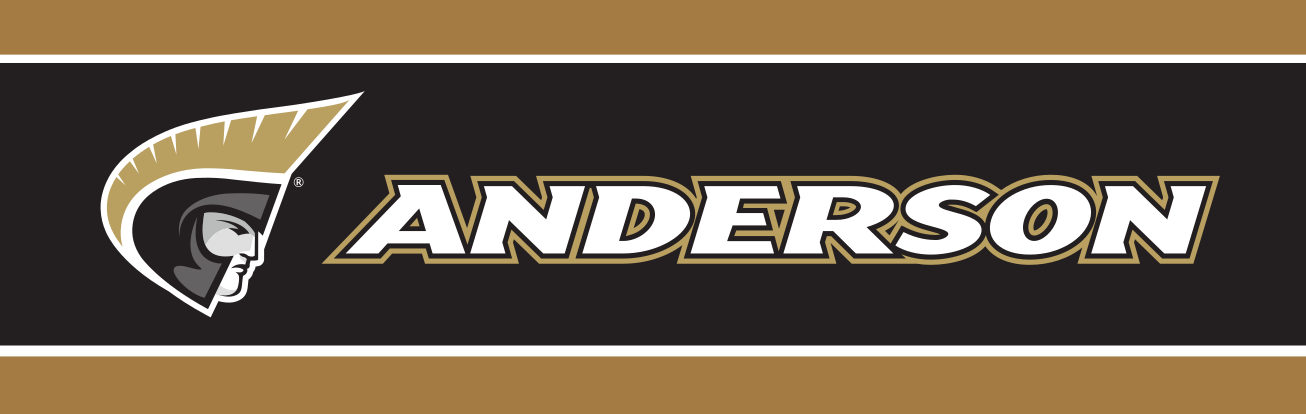 Anderson wordmark with icon, horizontal, white text, black gold outline variant