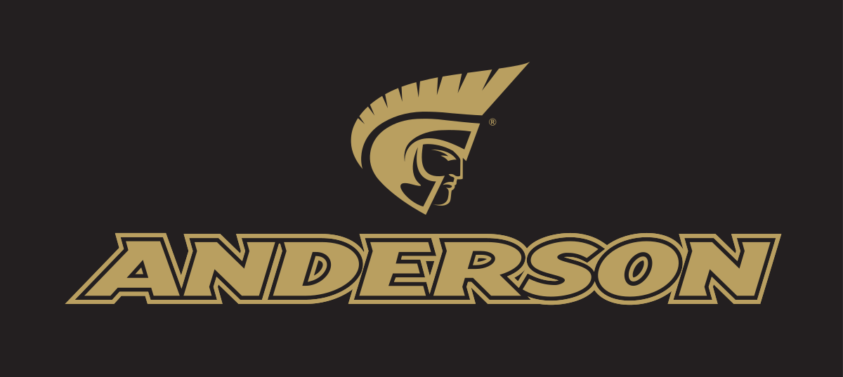 Anderson wordmark with icon, vertical, gold text, gold outline variant