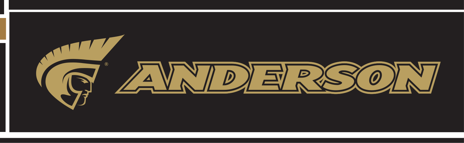 Anderson wordmark with icon, horizontal, gold text, gold outline variant