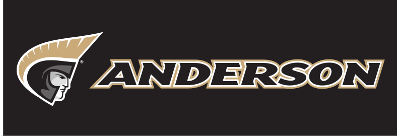 Anderson wordmark with icon, horizontal, black text, white gold outline variant