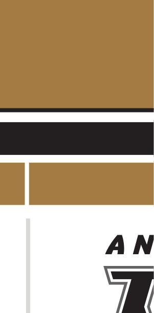 Anderson wordmark with icon, horizontal, CMYK black text, gold outline, gold AU variant