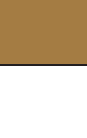 athletic logo, horizontal, gold text, black outline, black AU variant