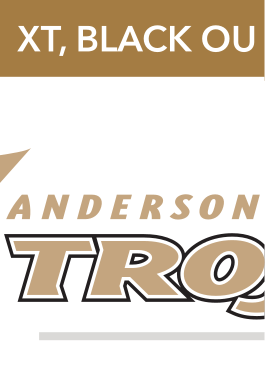 athletic wordmark, pantone coated, black text, gold outline, gold AU variant