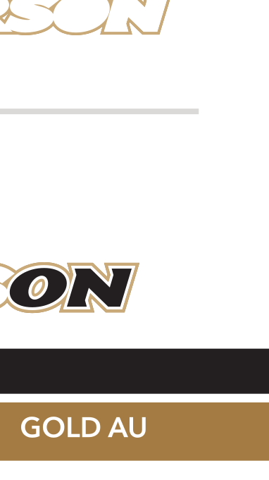 Anderson University Trojans wordmark, Black variant