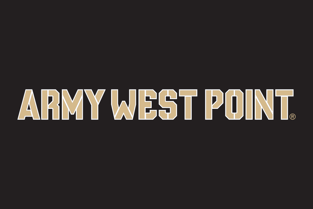 horizontal wordmark, full color on black variant, cell 15