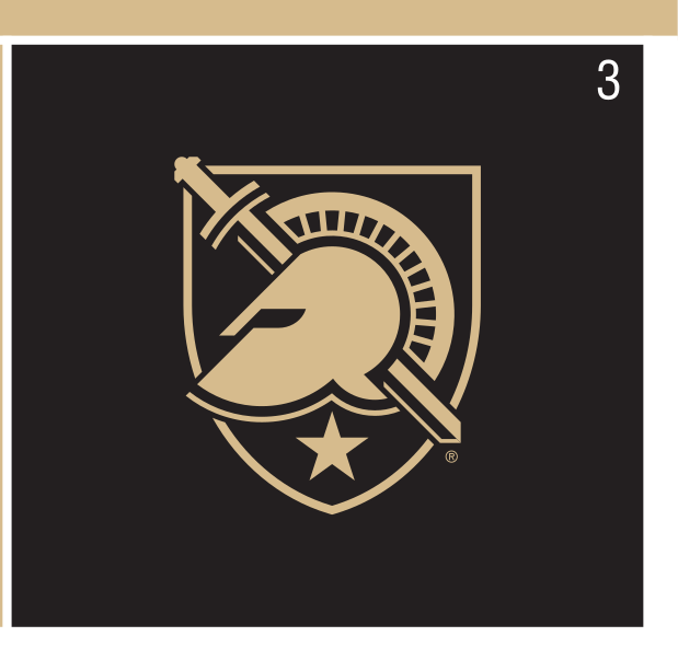 shield logo, full color on black variant, cell 3