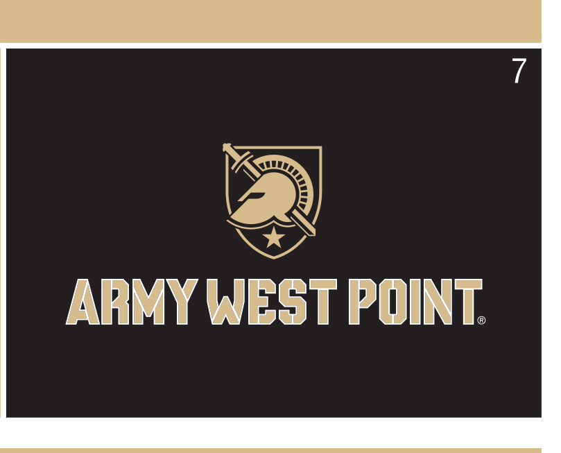 shield wordmark lockup, full color on black variant, cell 7