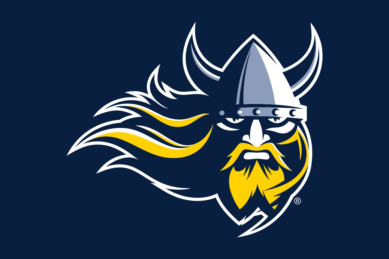 Vikings head mark, full color on navy variant, cell 6