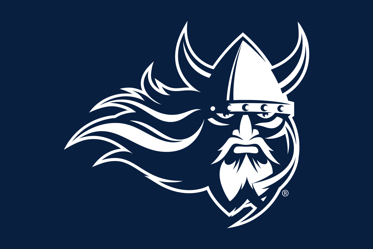 Vikings head mark, knockout on navy variant, cell 9