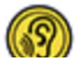 university icon, border, ear variant, cell 20