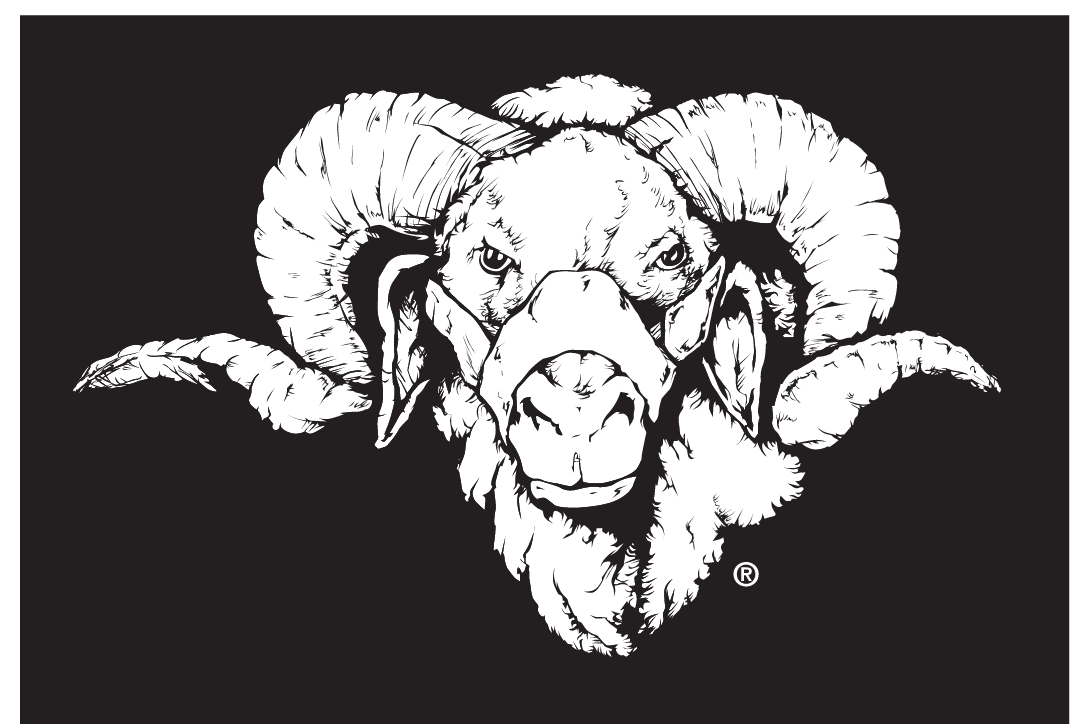 Dominic mascot head, white on black variant