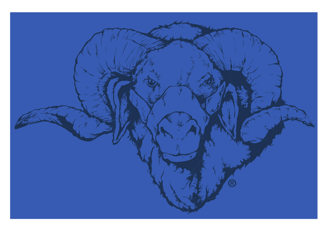 Dominic mascot head, blue on blue variant
