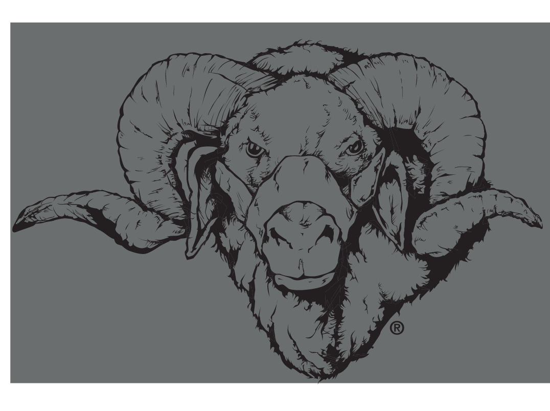 Dominic mascot head, black on grey variant