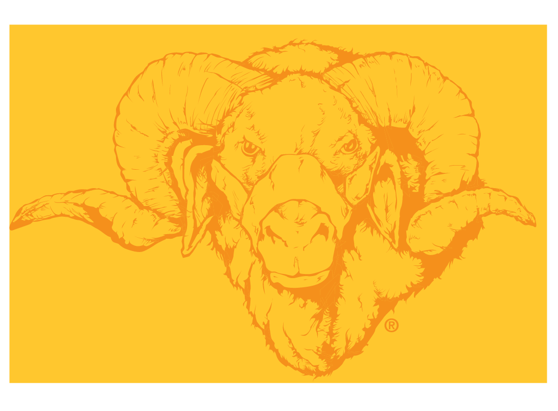 Dominic mascot head, orange on yellow variant