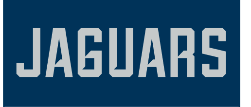 JAGUARS wordmark, light blue variant, cell 4