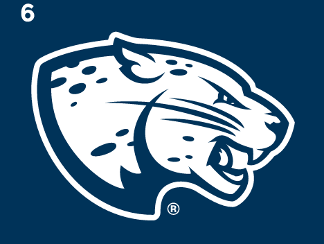 Jaguar head, white and navy on navy variant, cell 16