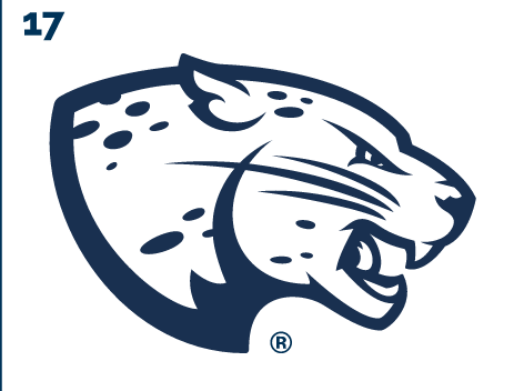 Jaguar head, white and navy variant, cell 17