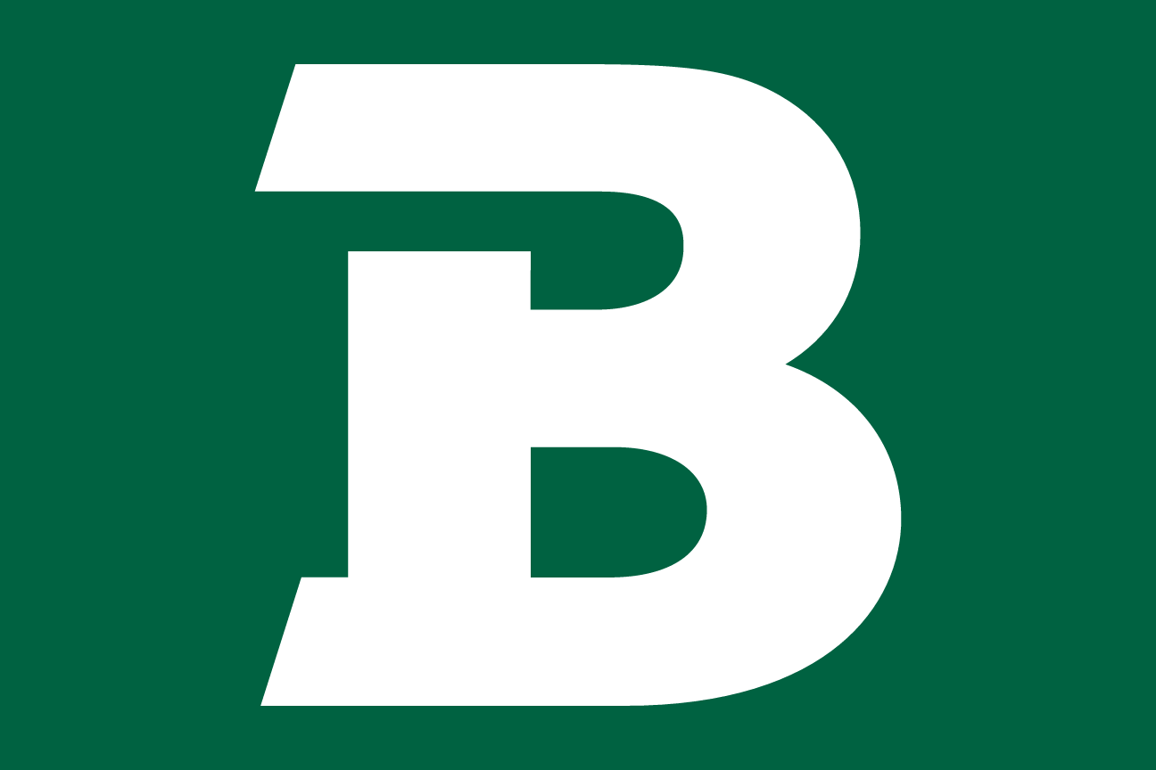 block B lettermark, white on green background variant, cell 20