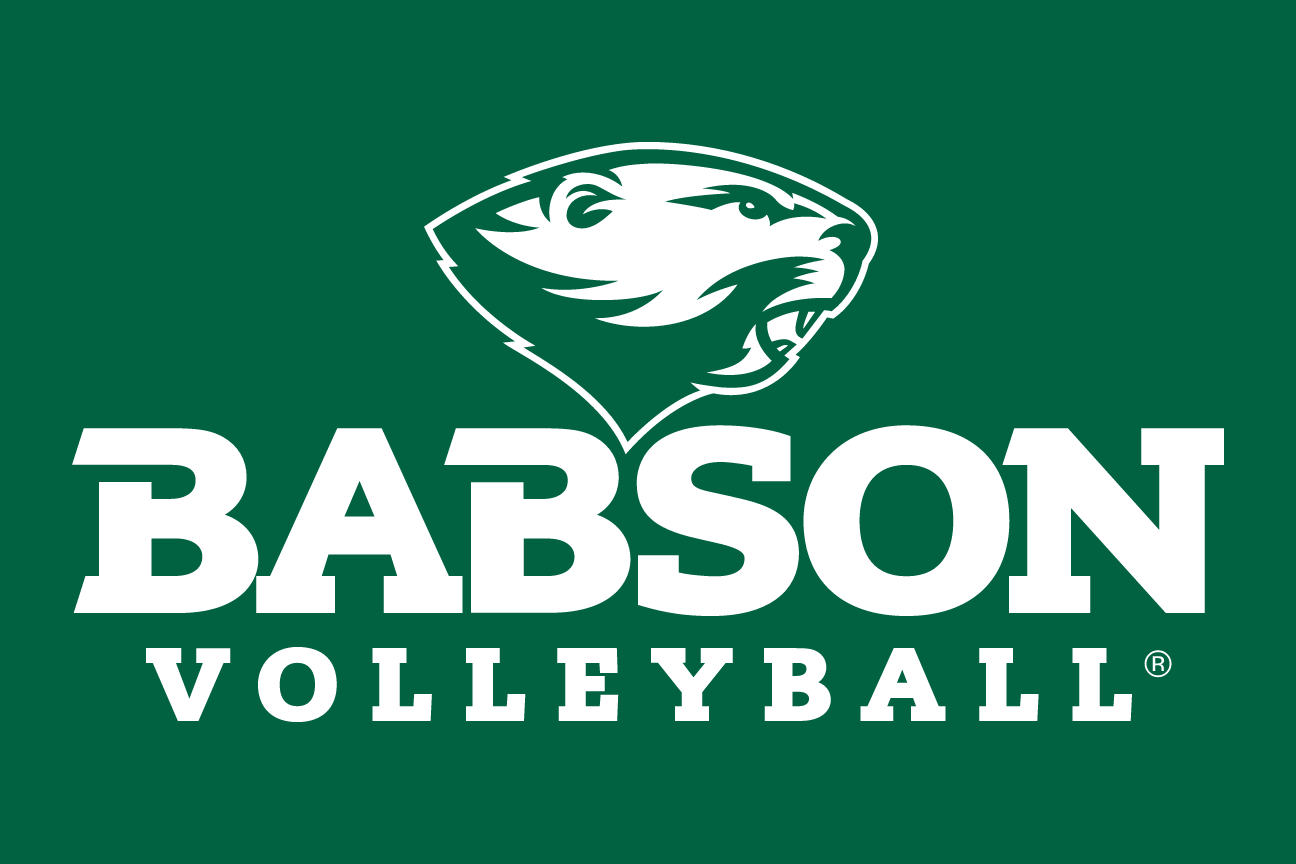Babson Volleyball, white beaver head lockup on green variant, cell 90