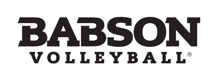 Babson Volleyball, black wordmark variant, cell 102