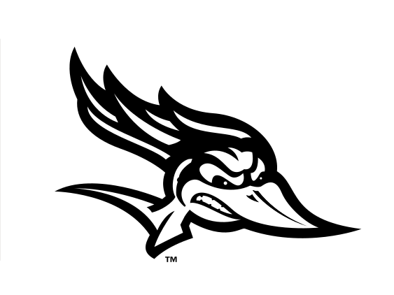 Roadrunner mascot, black/white variant, cell 2