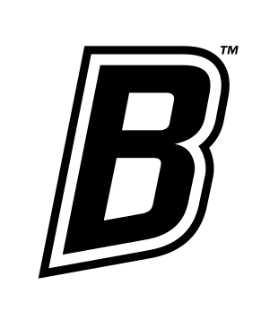 B lettermark, black/white variant, cell 15