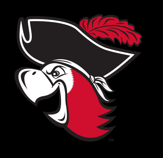 mascot mark, mascot head outline, alternate color variant, cell 36
