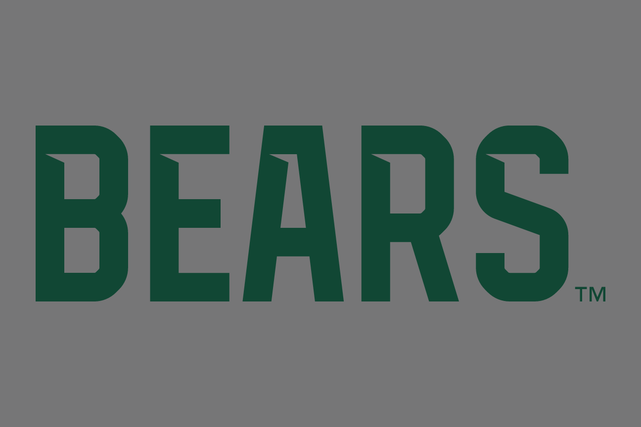 BEARS wordmark, one color green on grey variant, cell 12