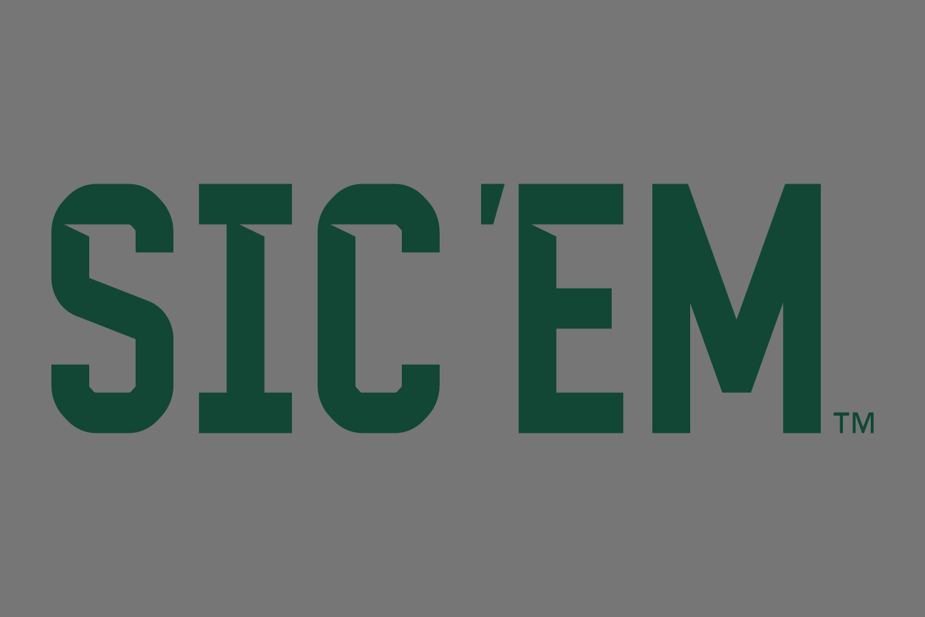 SIC'EM wordmark, one color green on grey variant, cell 16