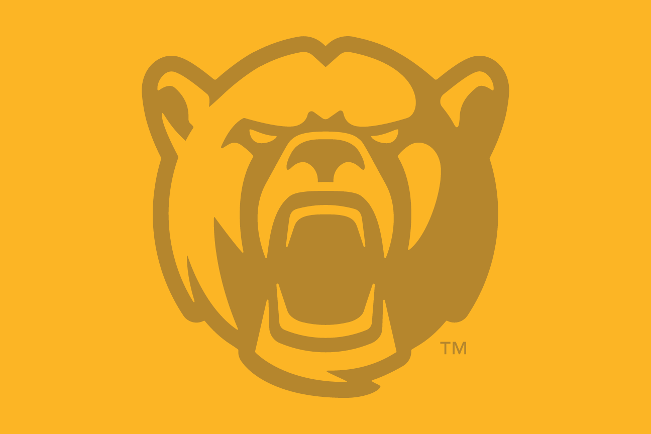 Bear Head, gold outline on gold variant, cell 41