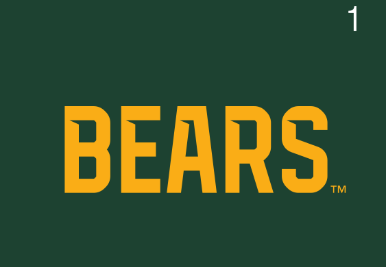BEARS wordmark, one color gold on green variant, cell 10