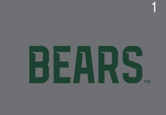 BEARS wordmark, one color green on grey variant, cell 12