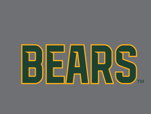 BEARS wordmark, two color green and gold on grey variant, cell 28