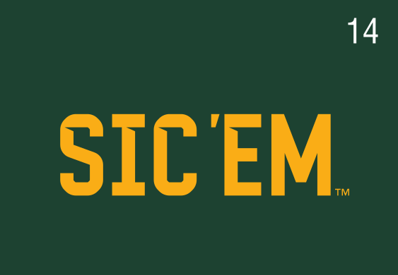 SIC'EM wordmark, one color gold on green variant, cell 14