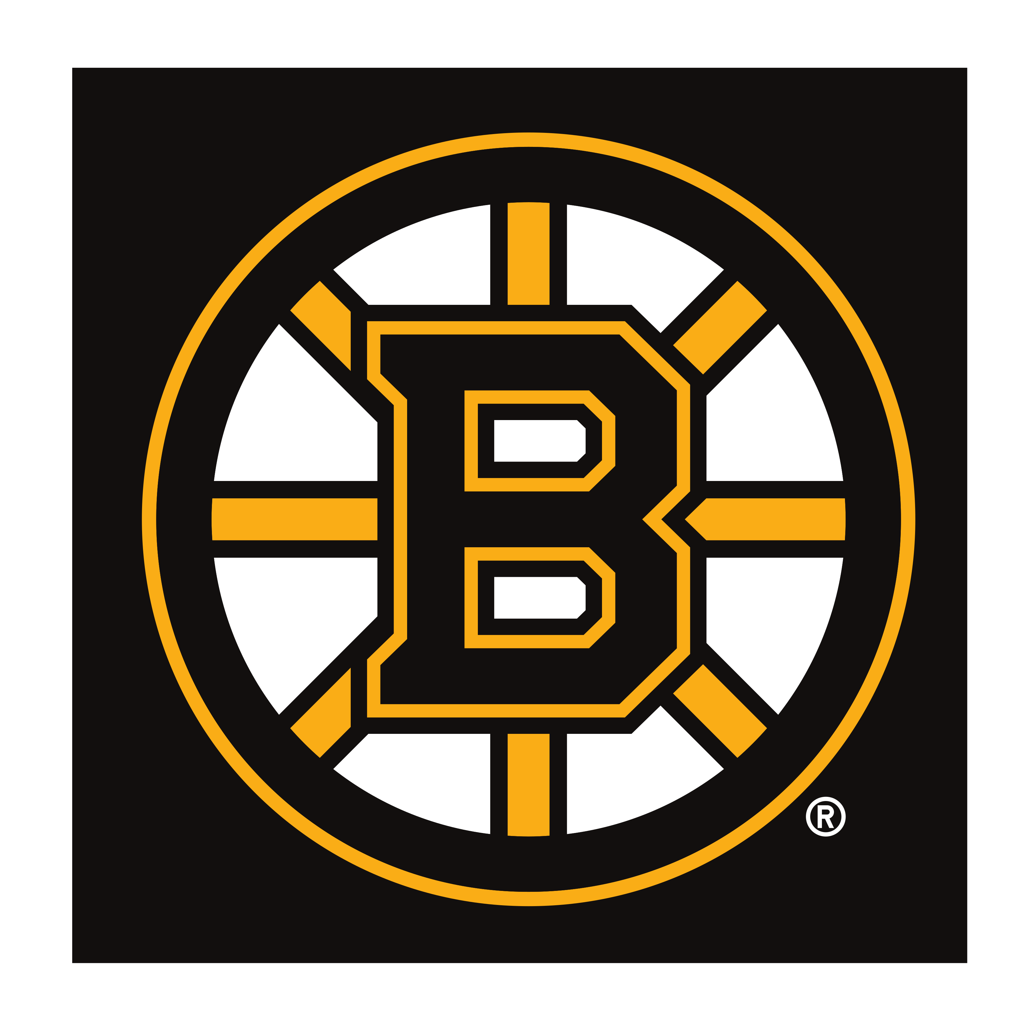 BOSTON BRUINS