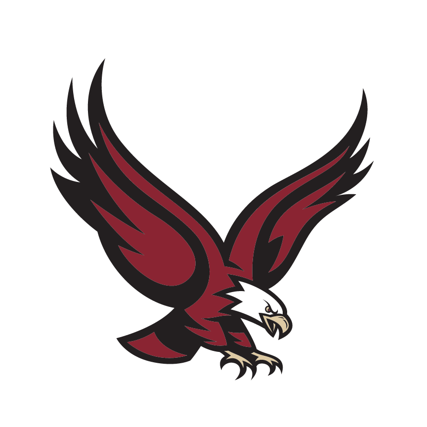 Eagles script wordmark, white on maroon variant, cell 104