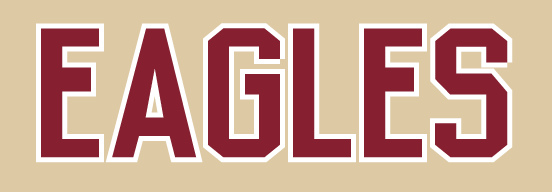 Eagles script wordmark, maroon on gray variant, cell 104