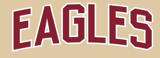 Eagles script wordmark, white on black variant, cell 104