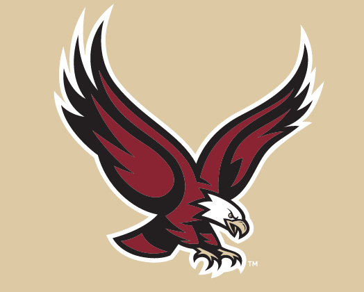 EAGLES block wordmark, maroon on white variant, cell 104